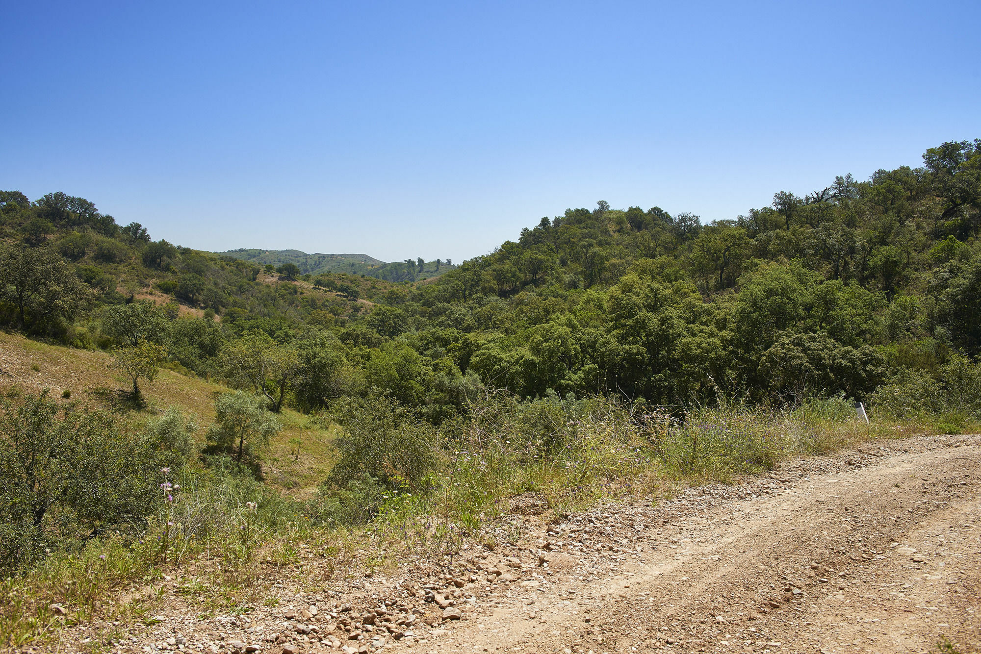 טאווירה Hotel Rural Quinta Do Marco - Nature & Dining מראה חיצוני תמונה